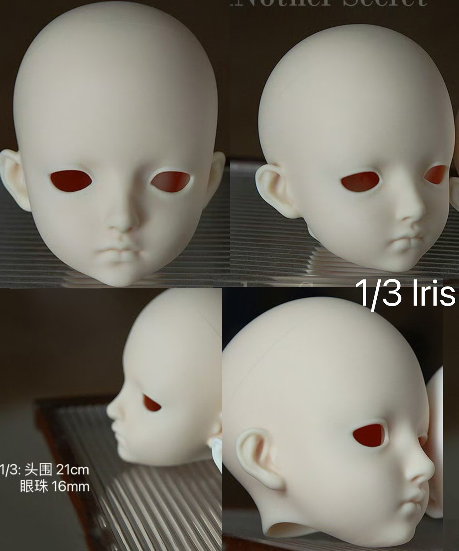 iris