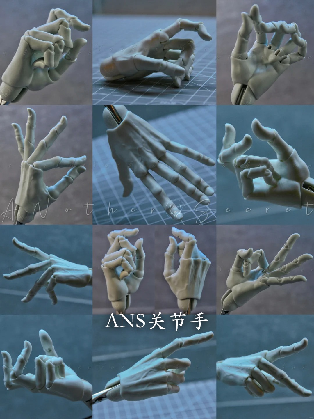ANSguanjieshou