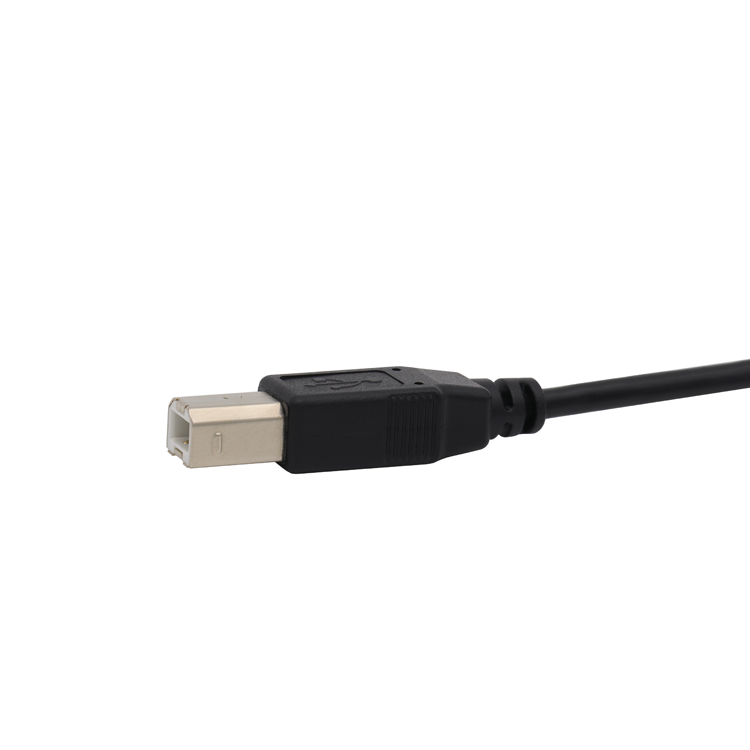 USB B公 TO MICRO CABLE