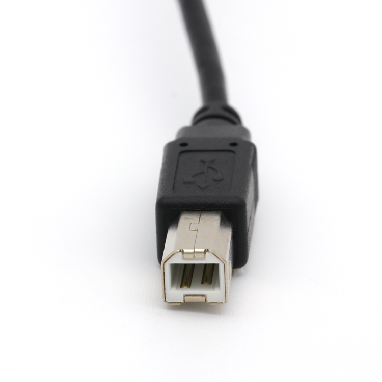 USB B公 TO MICRO CABLE