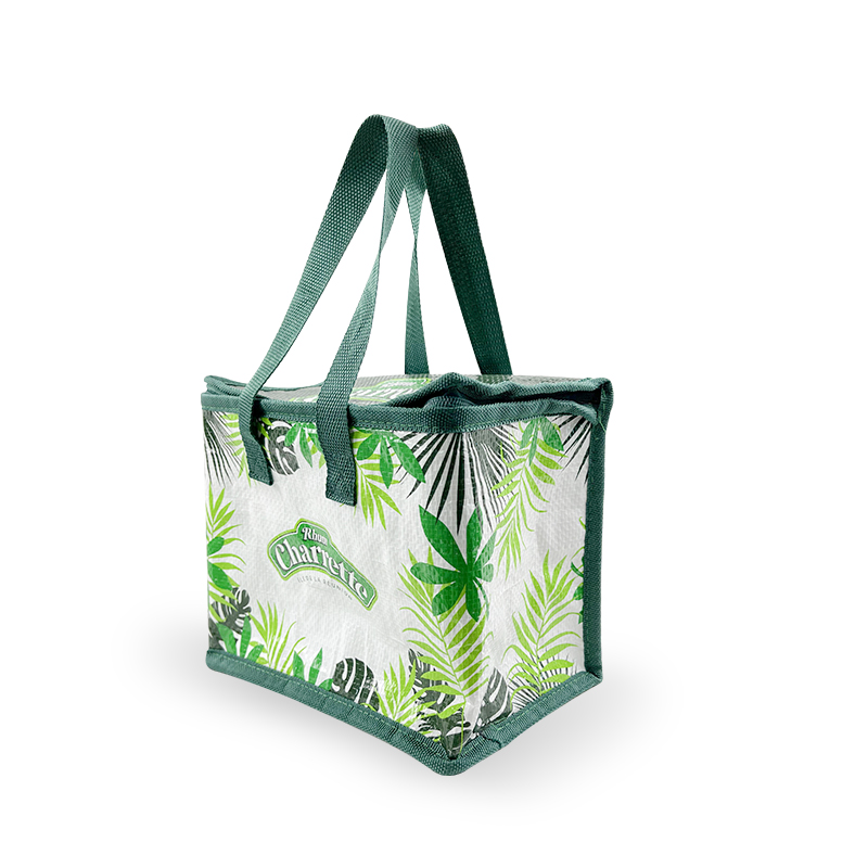 Cooler lunch bag/ fitness cooler lunch bag/ cooler bag for food lunch box