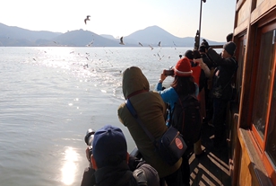 周末三國水滸雙向通航，賞鷗游船給你冬日里獨有的浪漫！
