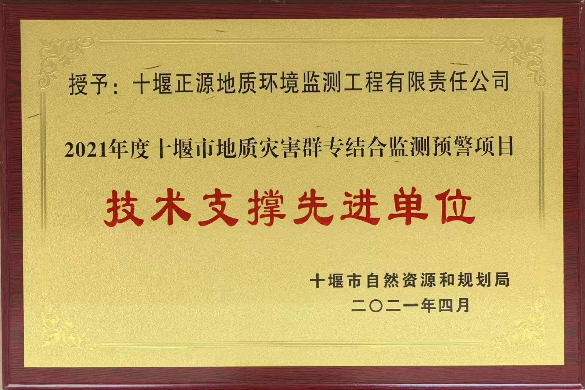 技术支撑先进单位 (2)