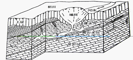 图片1(4)