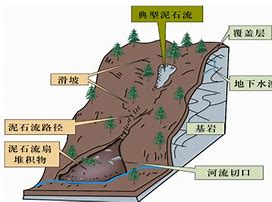 图片1(3)
