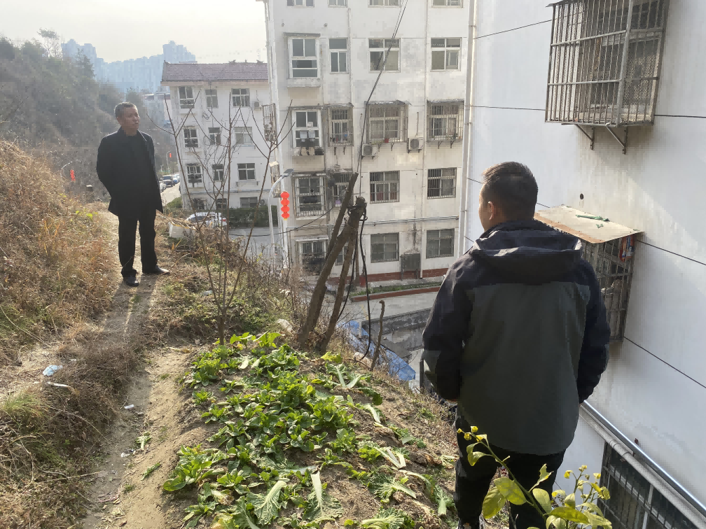 图片1(1)(1)_20250303_17409905536755280