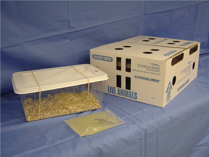 小鼠运输专用纸盒，透气，呼吸窗。实验动物专用纸盒