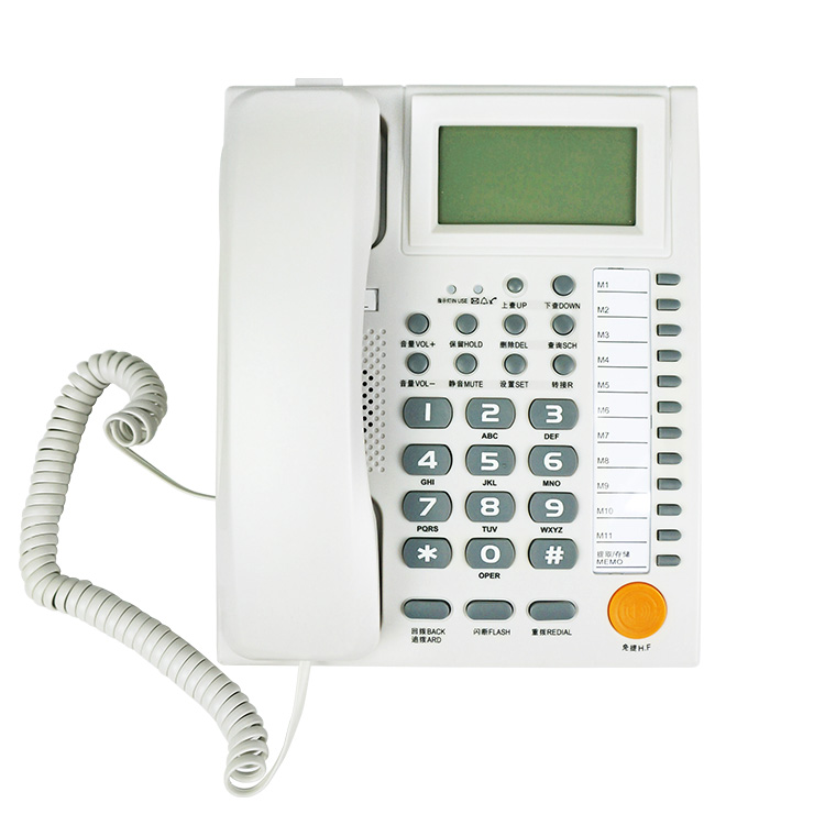 PH206B