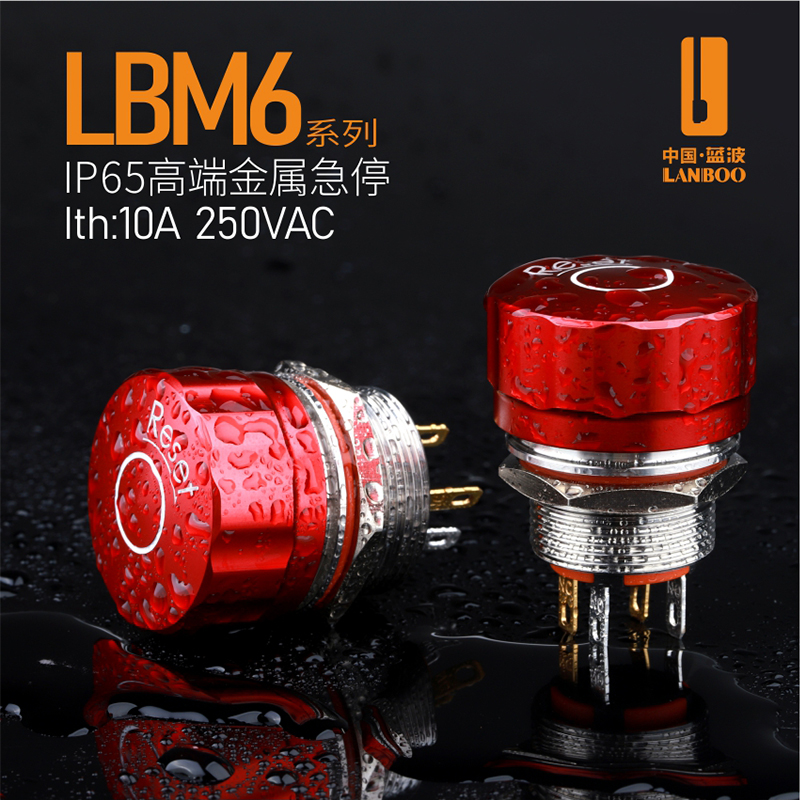 LBM6（红色大头不锈钢金属急停钮开关 保持式蘑菇钮阻燃防水IP65）