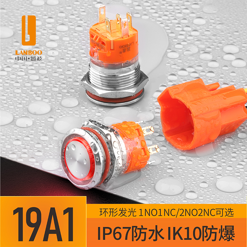 LB19A1 （19mm金属按钮开关复位自锁式，带灯红绿蓝黄白发光，防水IP67不锈钢按钮3-8V,9-24V）