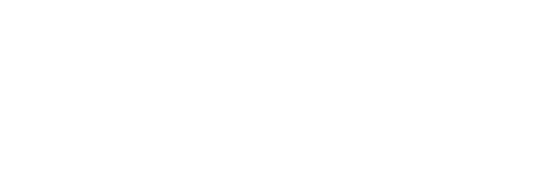 描述