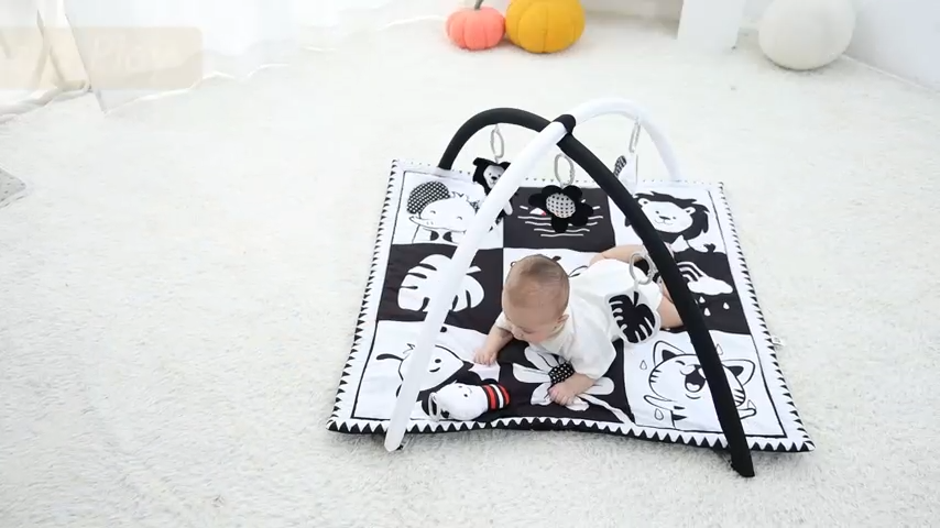 Baby Play Activity Gym