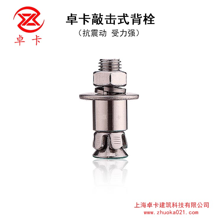 卓卡敲击式不锈钢背栓