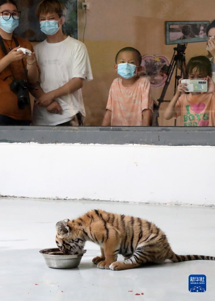 http://www.news.cn/photo/2022-07/11/1128822790_16575371021261n.jpg