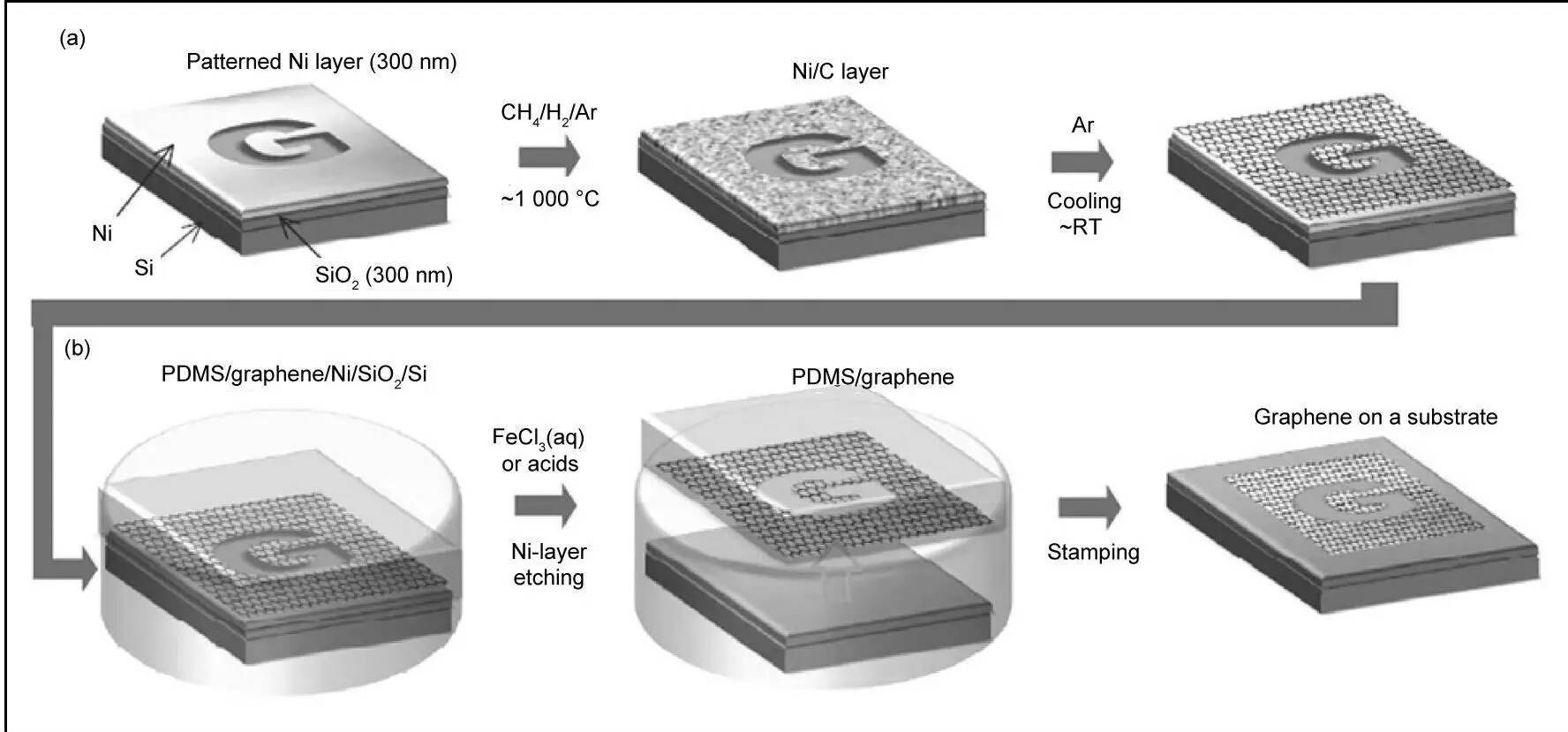 图7 转移介质为PDMS