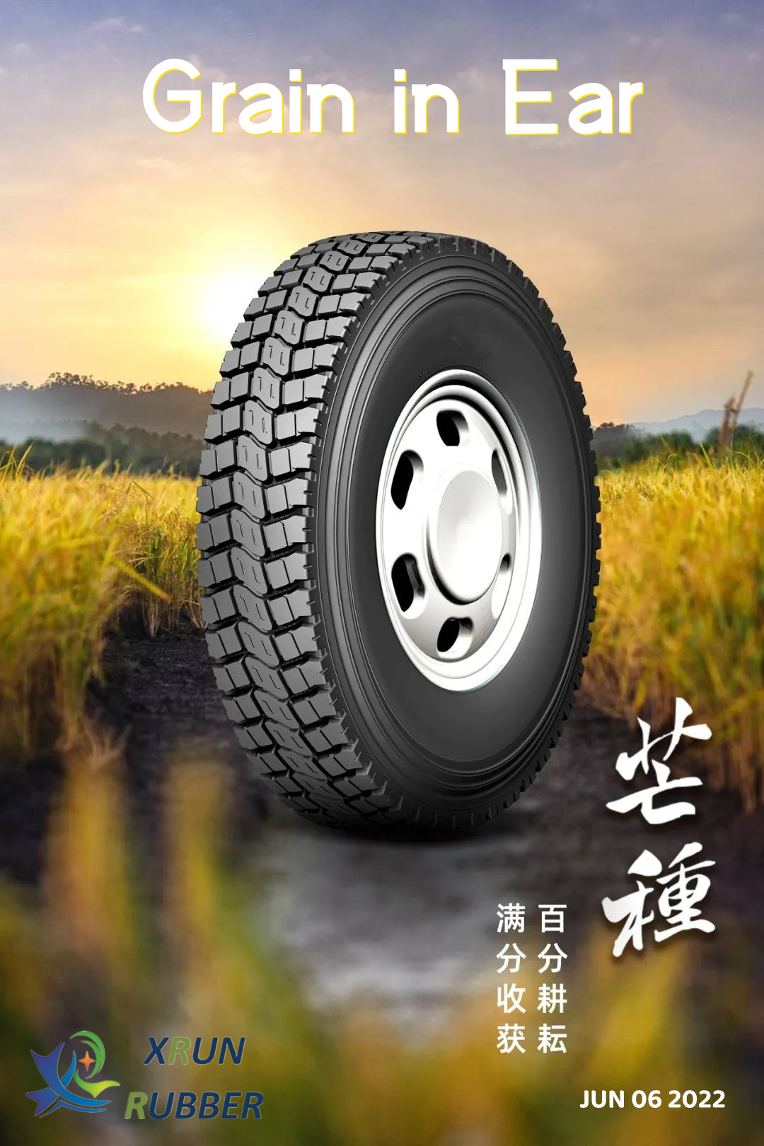 芒种3