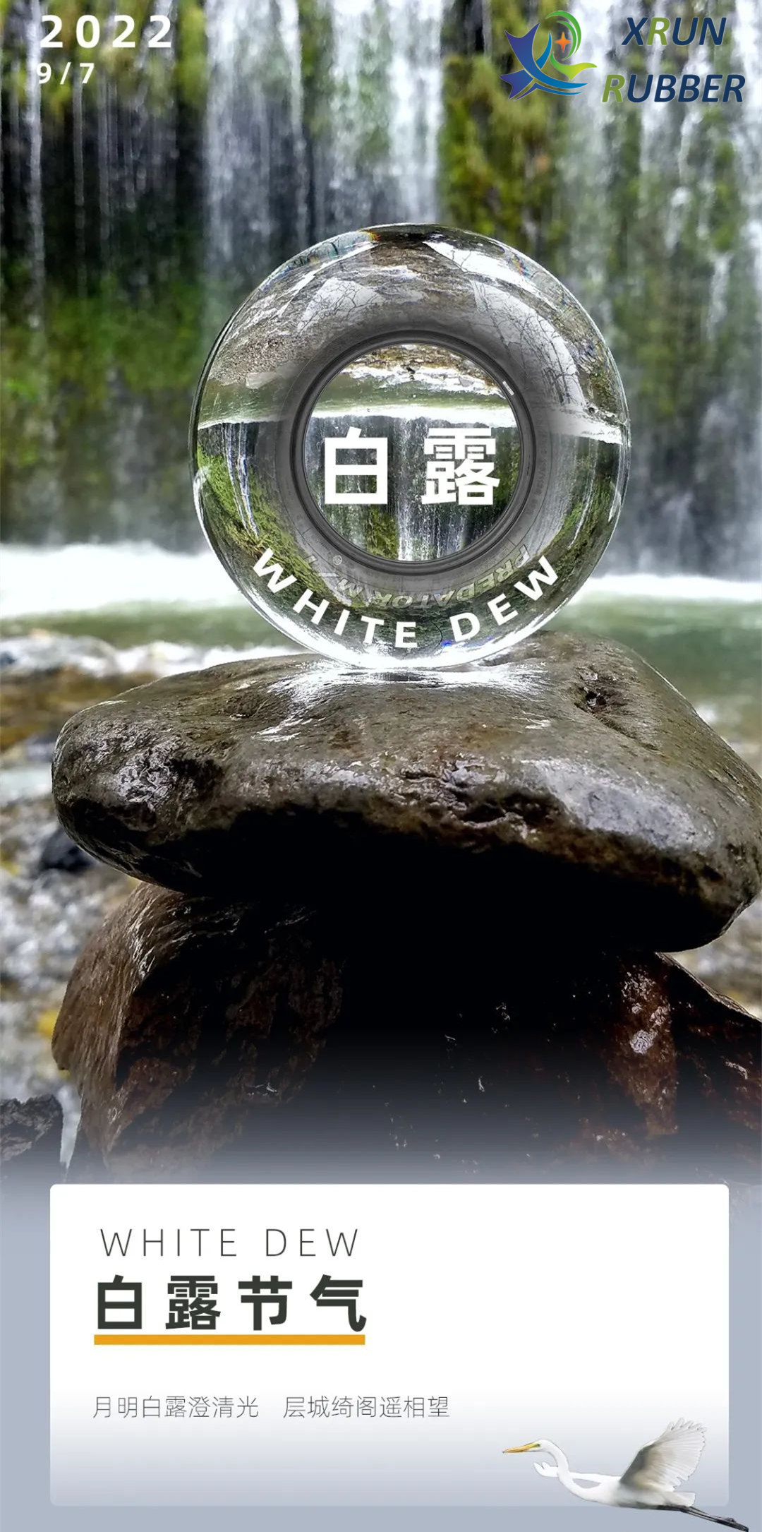 白露9.7