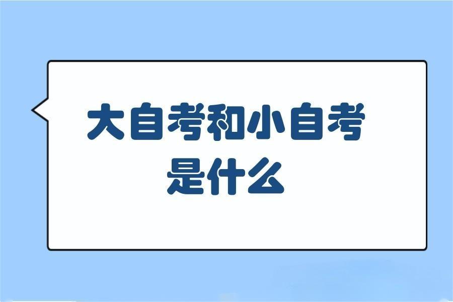 大自考和小自考是什么