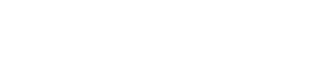 力诺光电logo