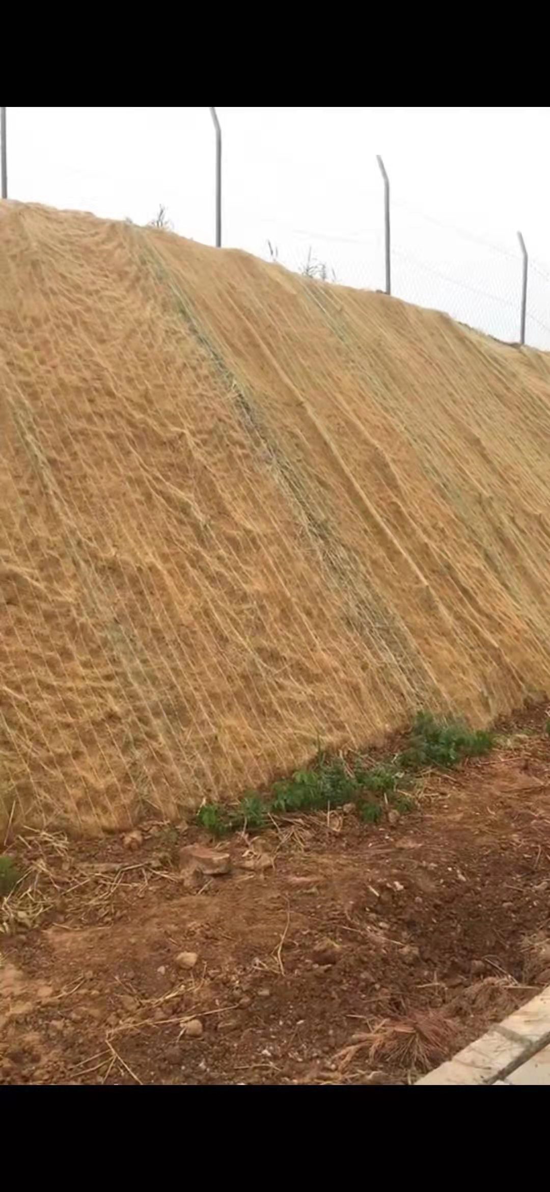 20190813100853675367
