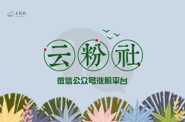 公众号运营