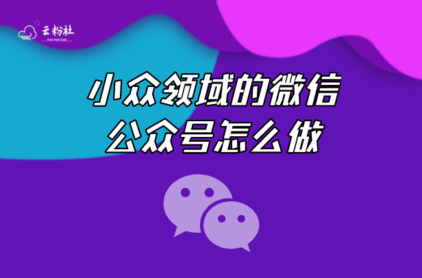 小众公众号怎么做