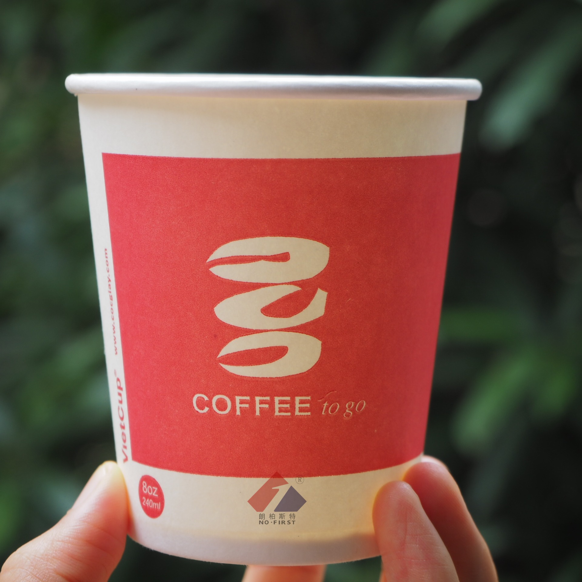 单层杯