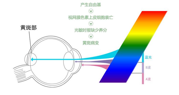 纯明CM1.56防蓝光非球面镜片预售