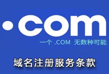域名注册服务条款