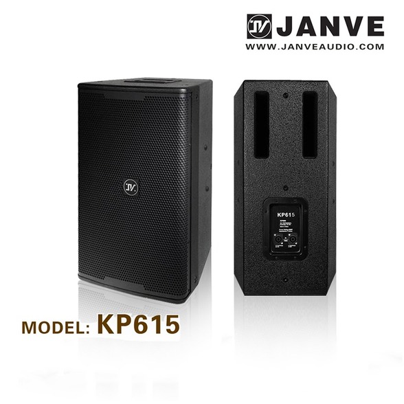 KP615/15 inch 2-way full range speaker