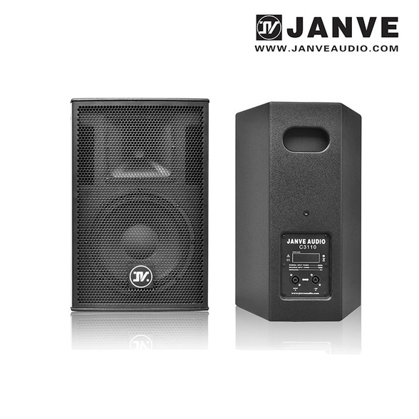 C3110/10 inch 2-way full range Speaker