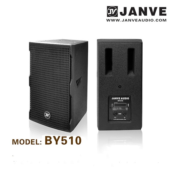 BY510/10 inch 2-way full range Speaker