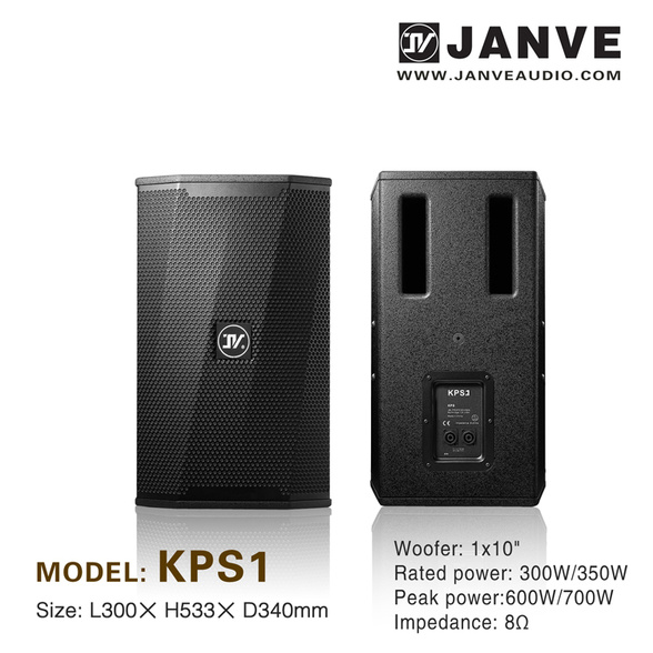 KPS1/10 inch 2-way full range speaker