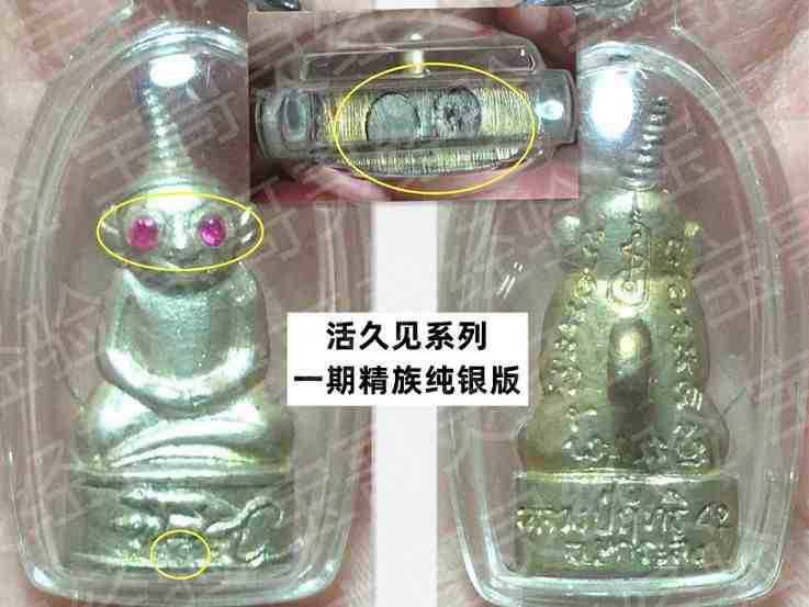 12417872_219215335102287_6332397265075302372_n_副本