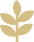 描述