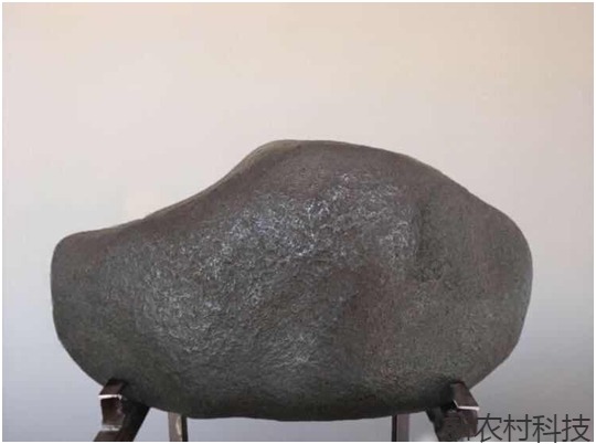 昔日嫦娥奔月去 今有陨石藏吉林 目前世界最大月...