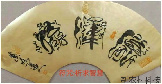 紫鸣道人 其人与书画
