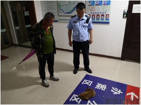 警民携手救助一只走失幼狍