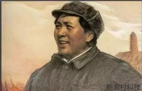 用事实讲毛主席的功绩