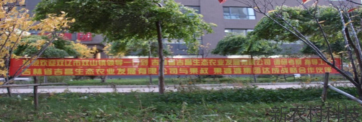 领导牵手 只为献花 绝不作秀