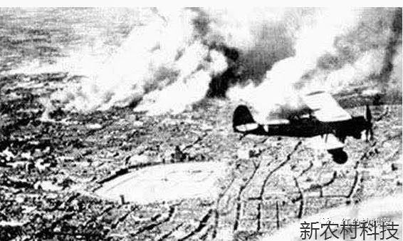 ​除毛岸英外，还有哪些领导人子女奔赴朝鲜战场？