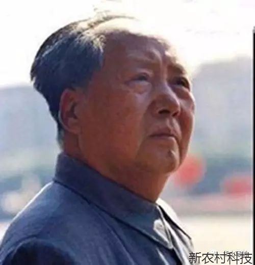 十九大给毛主席的定位