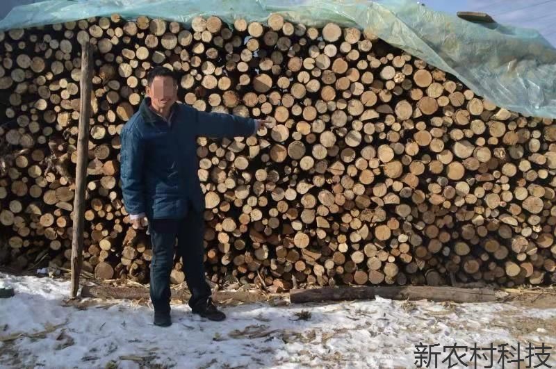 私自入山打烧柴触犯法律