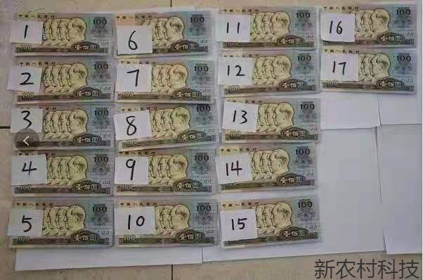垃圾堆里捡到“钱” 银行兑换现真相