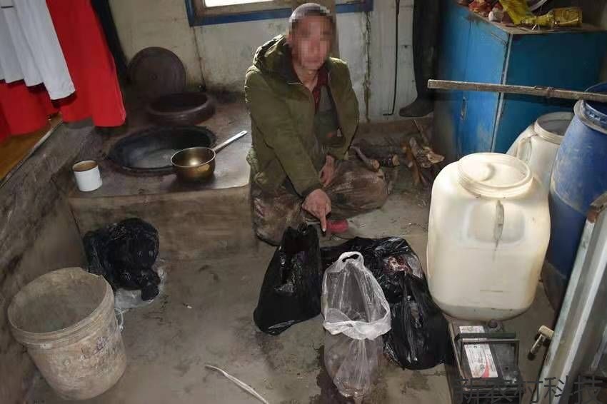 漠视法律 坠入法网