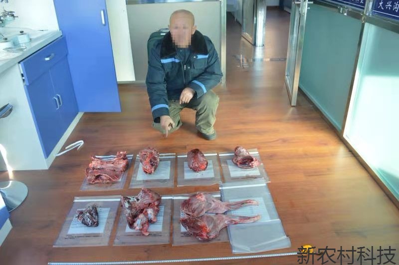 森侦大队成功破获一起非法狩猎案