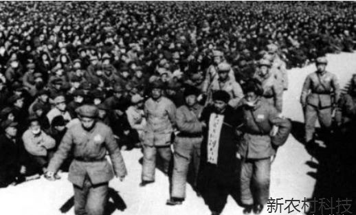 毛主席怒道说：          “是要他们俩...