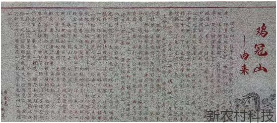 百姓心中的圣山——鸡 冠 山