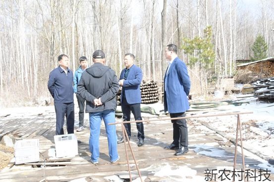 我为群众办实事 长林两级法院入基层访民生听民声