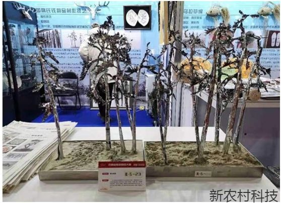 “非遗”瑰宝  铁艺大师隋进才